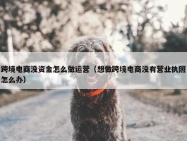 跨境电商没资金怎么做运营（想做跨境电商没有营业执照怎么办）