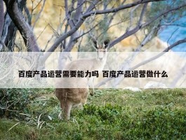 百度产品运营需要能力吗 百度产品运营做什么