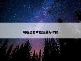 现在是芯片创业最好时候