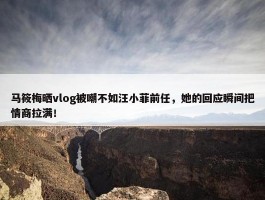 马筱梅晒vlog被嘲不如汪小菲前任，她的回应瞬间把情商拉满！