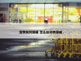 宠物如何保暖 怎么给动物保暖