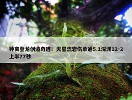 钟离登龙创造奇迹！天星流岩伤单通5.1深渊12-2上半77秒