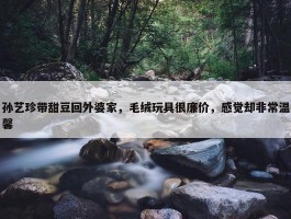 孙艺珍带甜豆回外婆家，毛绒玩具很廉价，感觉却非常温馨