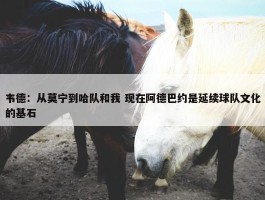 韦德：从莫宁到哈队和我 现在阿德巴约是延续球队文化的基石