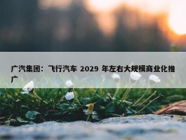 广汽集团：飞行汽车 2029 年左右大规模商业化推广