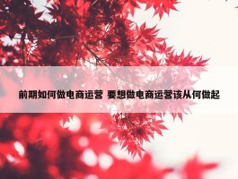 前期如何做电商运营 要想做电商运营该从何做起