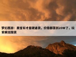 梦幻西游：黑宝石才是硬通货，价格都涨到20W了，玩家疯狂囤货