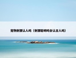 宠物刺猬认人吗（刺猬聪明吗会认主人吗）