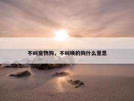 不叫宠物狗，不叫唤的狗什么意思