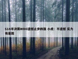 S14半决赛WBG遗憾止步四强 小虎：不遗憾 实力有差距