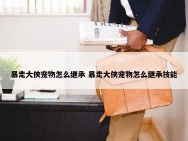 暴走大侠宠物怎么继承 暴走大侠宠物怎么继承技能