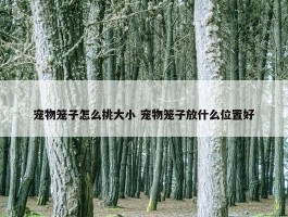 宠物笼子怎么挑大小 宠物笼子放什么位置好