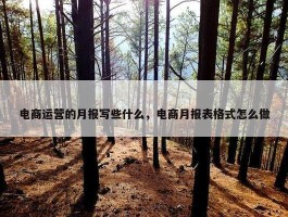 电商运营的月报写些什么，电商月报表格式怎么做