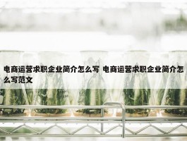 电商运营求职企业简介怎么写 电商运营求职企业简介怎么写范文