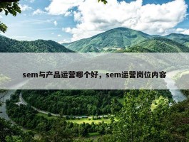 sem与产品运营哪个好，sem运营岗位内容