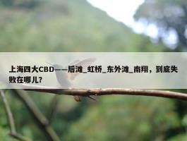 上海四大CBD——后滩_虹桥_东外滩_南翔，到底失败在哪儿？