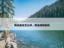 爬虫副业怎么样，爬虫赚钱商机