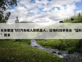 长安要造飞行汽车和人形机器人，这场科技早茶会“猛料”很多