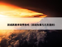 团结西里养宠物多吗（团结东里几几年建的）