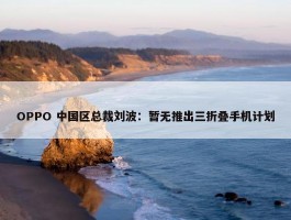 OPPO 中国区总裁刘波：暂无推出三折叠手机计划