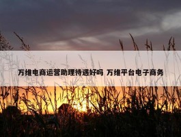 万维电商运营助理待遇好吗 万维平台电子商务