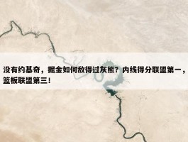 没有约基奇，掘金如何敌得过灰熊？内线得分联盟第一，篮板联盟第三！