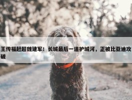 王传福赶超魏建军！长城最后一道护城河，正被比亚迪攻破