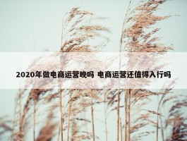 2020年做电商运营晚吗 电商运营还值得入行吗