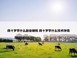 四十岁学什么副业赚钱 四十岁学什么技术挣钱