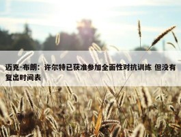 迈克-布朗：许尔特已获准参加全面性对抗训练 但没有复出时间表