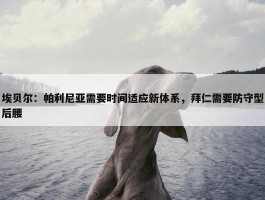 埃贝尔：帕利尼亚需要时间适应新体系，拜仁需要防守型后腰