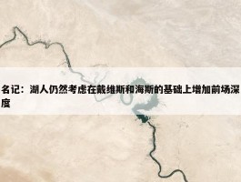 名记：湖人仍然考虑在戴维斯和海斯的基础上增加前场深度