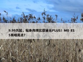 9.99万起，贴身肉搏比亚迪元PLUS！MG ES5有啥亮点？