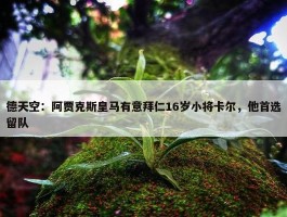 德天空：阿贾克斯皇马有意拜仁16岁小将卡尔，他首选留队