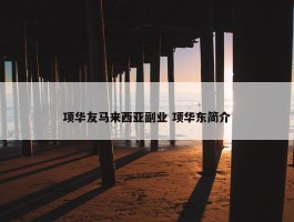 项华友马来西亚副业 项华东简介