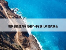 现代氢能源汽车亮相广州车展北京现代展台