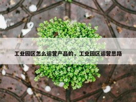 工业园区怎么运营产品的，工业园区运营思路