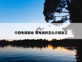 介绍电商副业 做电商的怎么介绍自己