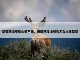 禁赛期缩短后心情不错，博格巴现场观看尤文本轮联赛