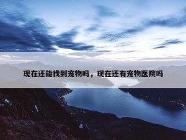 现在还能找到宠物吗，现在还有宠物医院吗