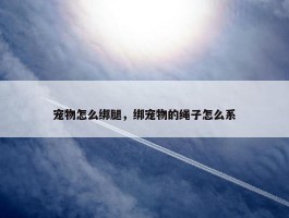 宠物怎么绑腿，绑宠物的绳子怎么系