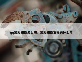 qq游戏宠物怎么玩，游戏宠物宝宝有什么用