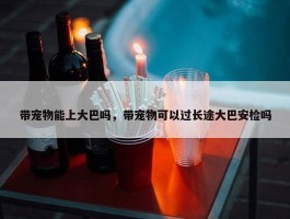 带宠物能上大巴吗，带宠物可以过长途大巴安检吗