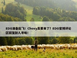 EDG准备起飞！Chovy真要来了？EDG官博评论区回复耐人寻味！