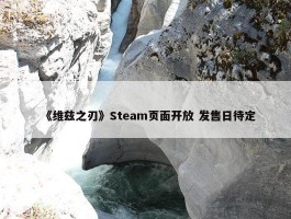 《维兹之刃》Steam页面开放 发售日待定