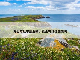 央企可以干副业吗，央企可以做兼职吗