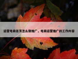 运营电商首页怎么做推广，电商运营推广的工作内容