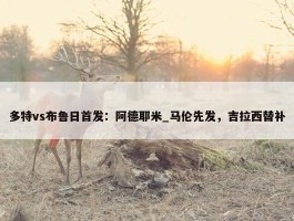 多特vs布鲁日首发：阿德耶米_马伦先发，吉拉西替补