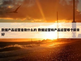 数据产品运营是做什么的 数据运营和产品运营哪个前景好