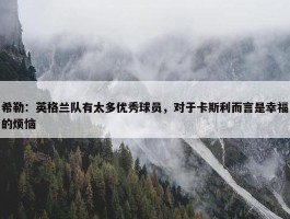 希勒：英格兰队有太多优秀球员，对于卡斯利而言是幸福的烦恼